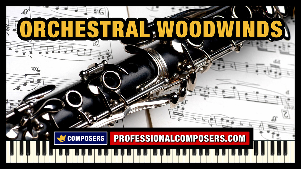 Best Orchestral Woodwinds VST Libraries (Top List) VST & Plugins